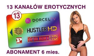 usł. dostępu do kan ELITE HD 10+ 13ch/6m Fusion