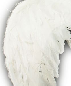 KX922117467